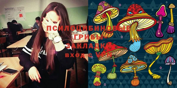ECSTASY Баксан