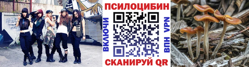 Галлюциногенные грибы ЛСД  Хасавюрт 